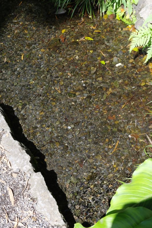 真姿の池湧水群