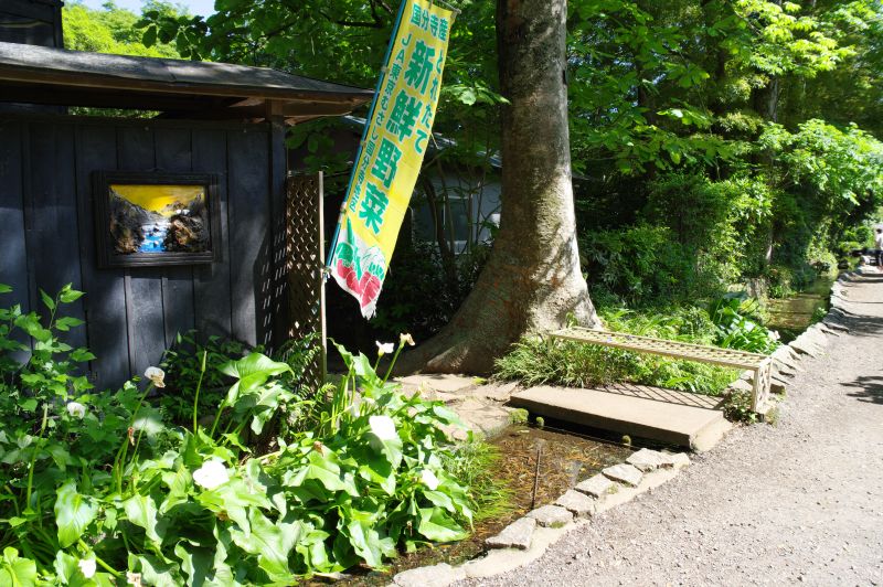 真姿の池湧水群