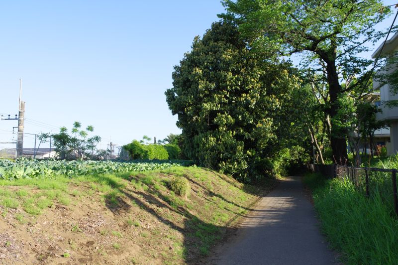 伝鎌倉街道