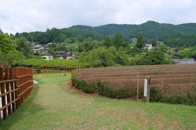 田峯城