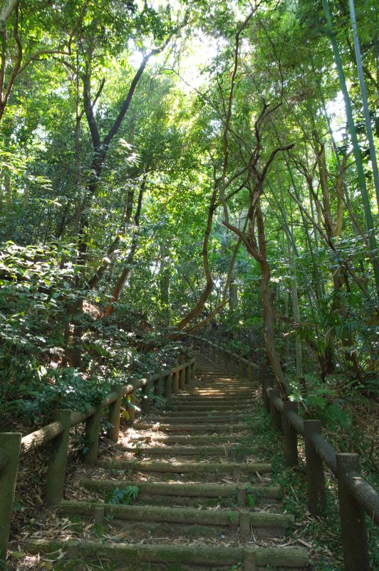 大草城