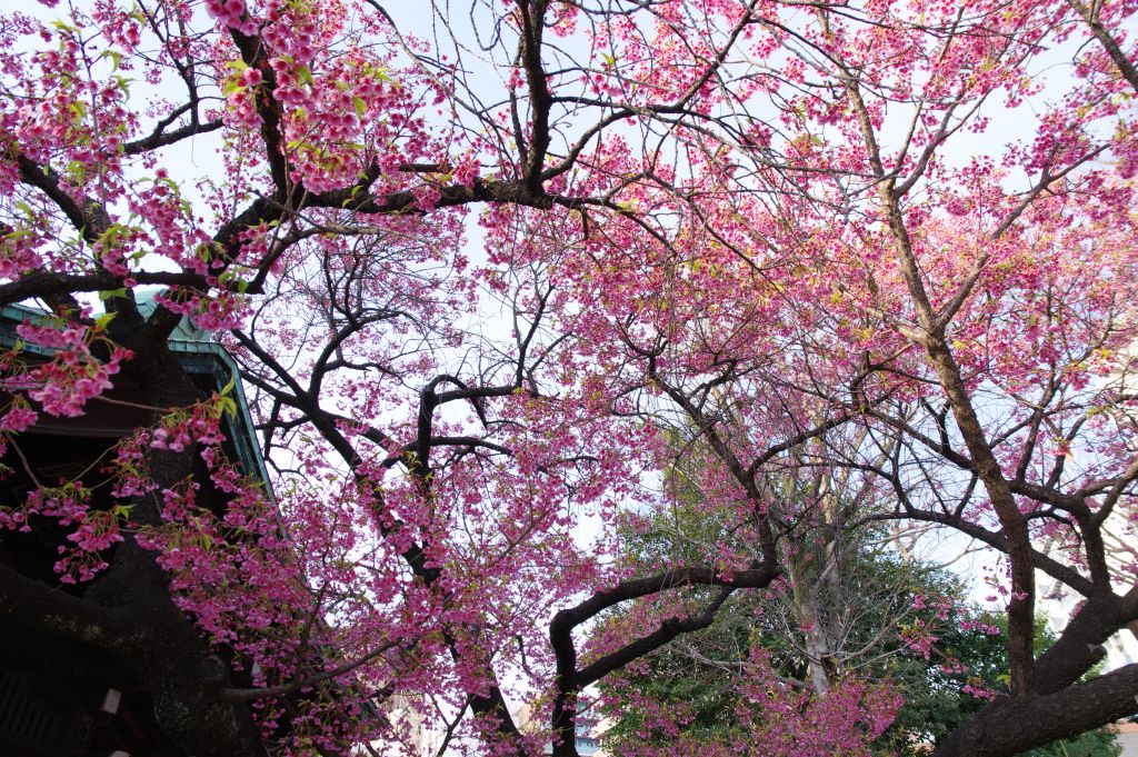 荏原神社