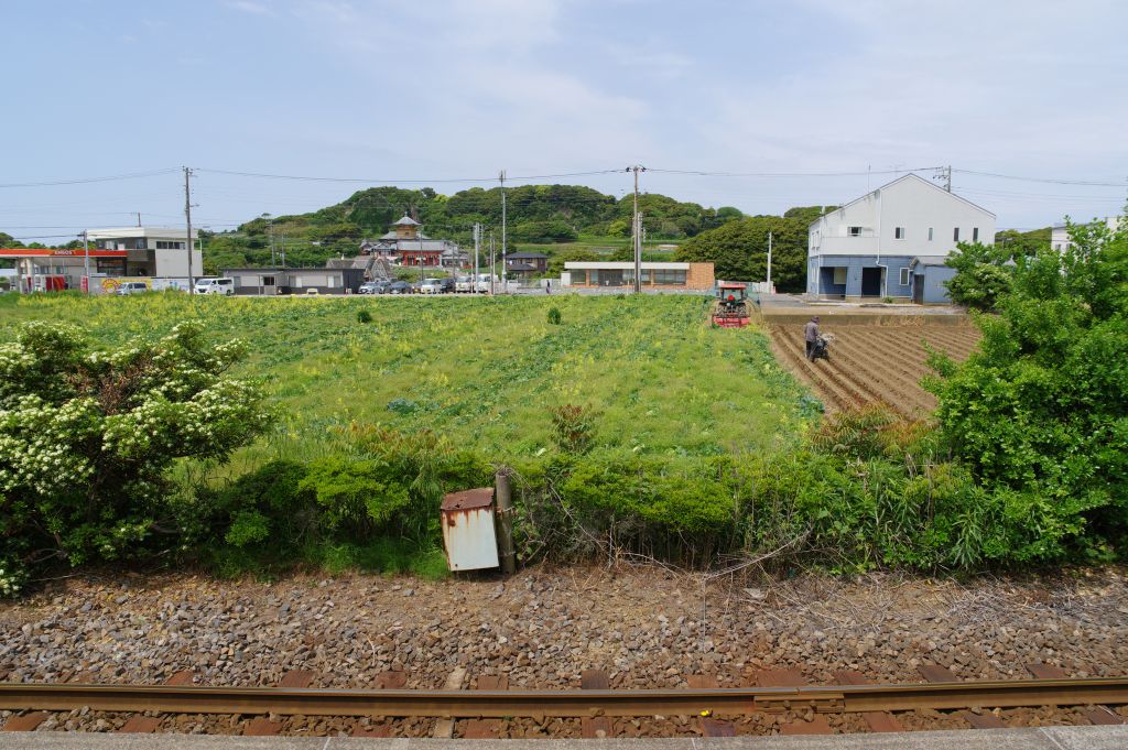 銚子電鉄・犬吠駅・ホーム前の畑