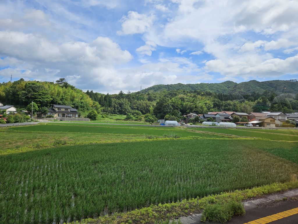 オープンバスに乗車・田園風景