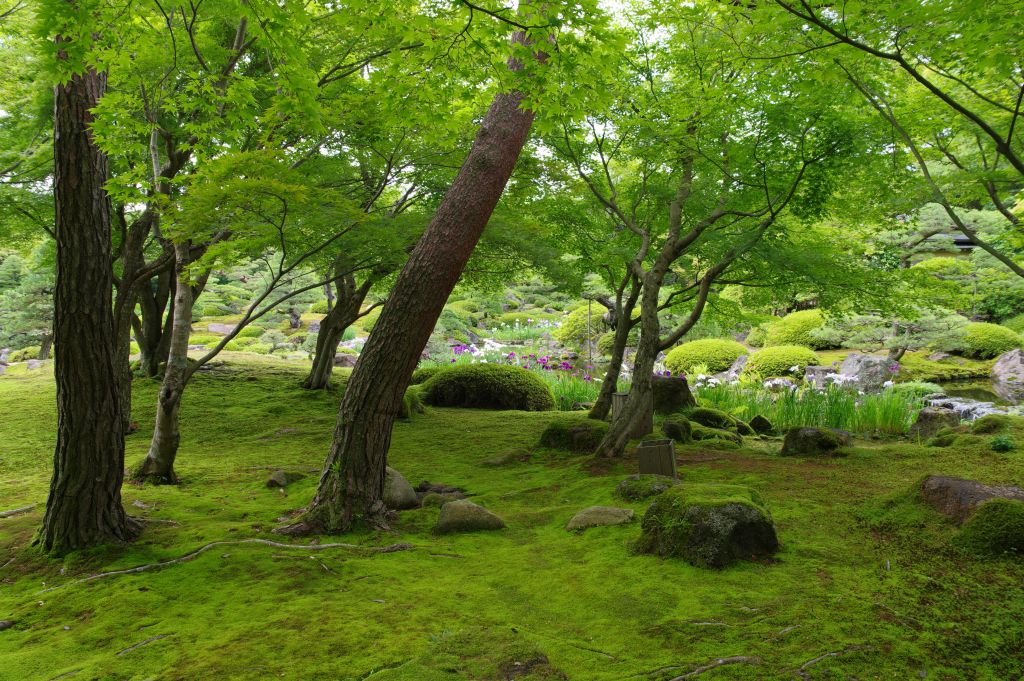 由志園・庭園・緑の世界