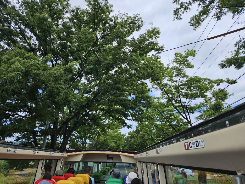 境港市の道、頭上の緑