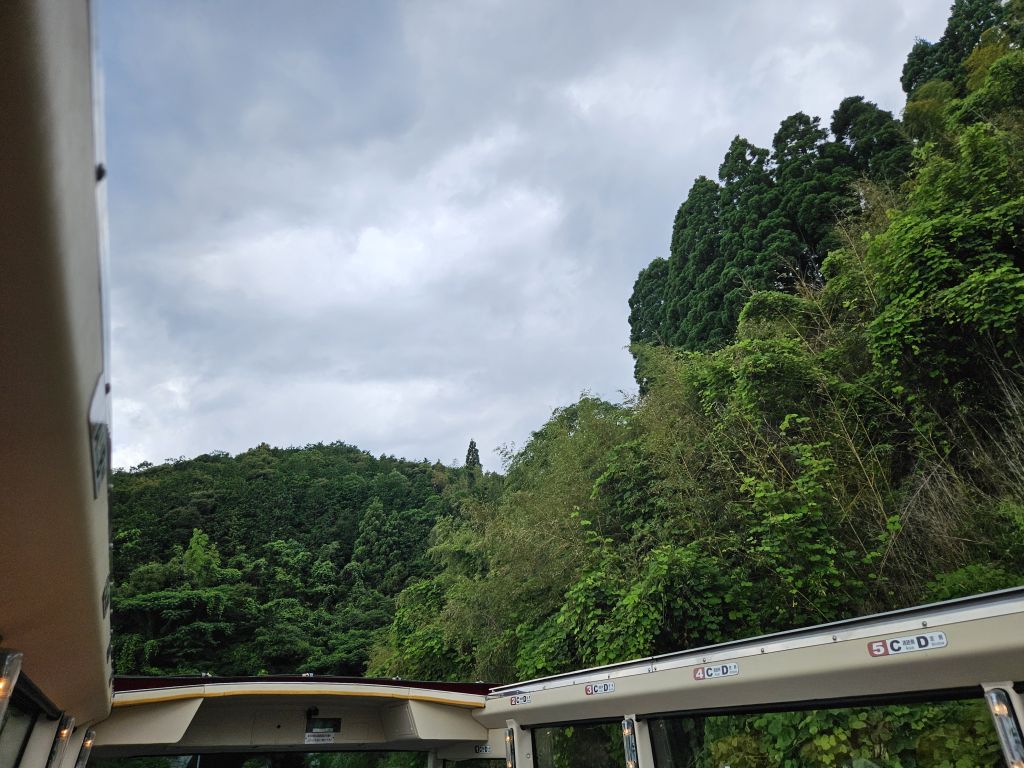 オープンバス・緑の道