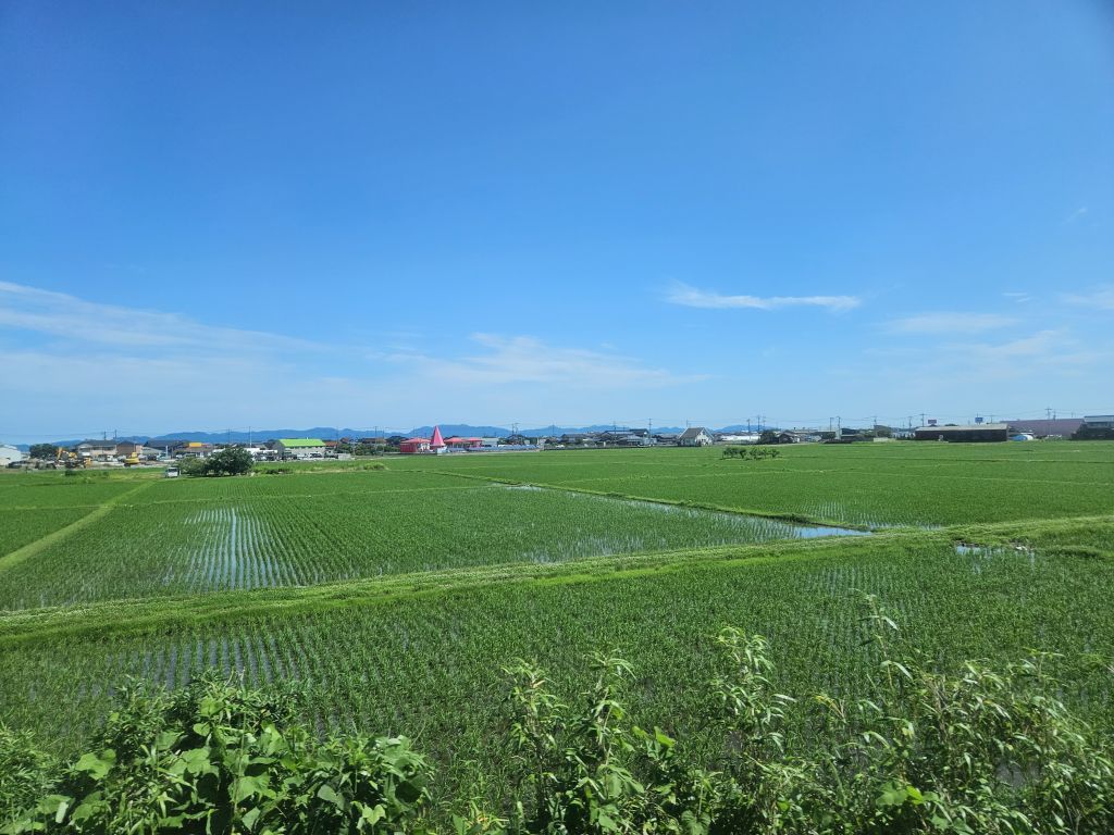 スーパーまつかぜ車窓