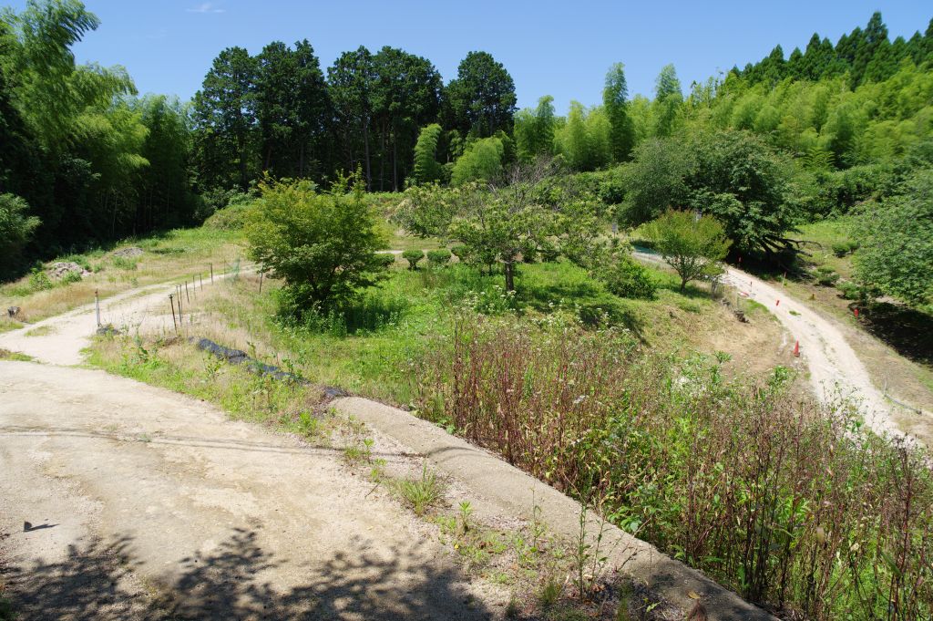 月山富田城・山中御殿から下る道