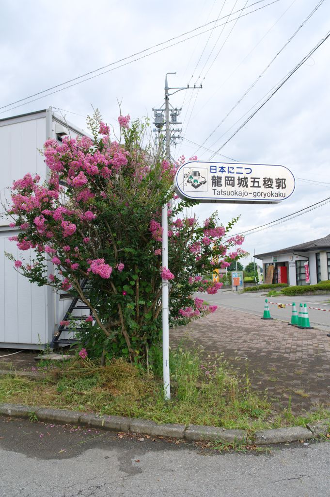 龍岡城・北側の角・龍岡城五稜郭の表示