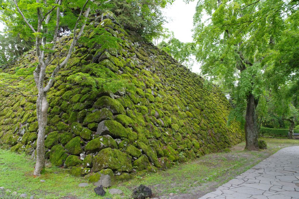 小諸城(懐古園)・本丸石垣と苔