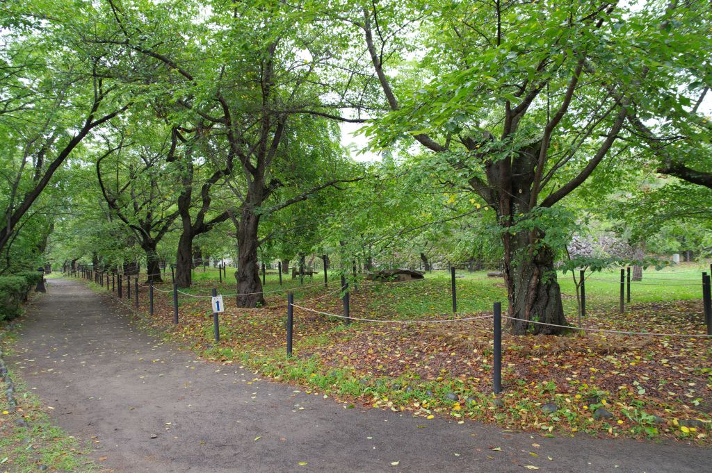 小諸城(懐古園)・桜馬場