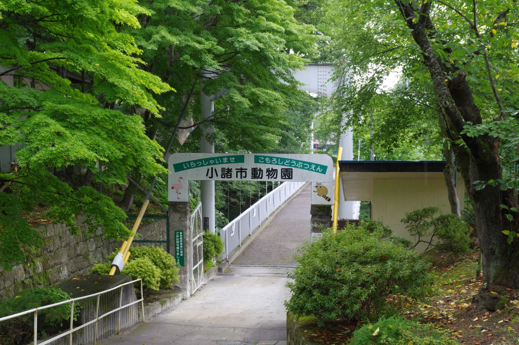 小諸城(懐古園)・小諸市動物園への橋