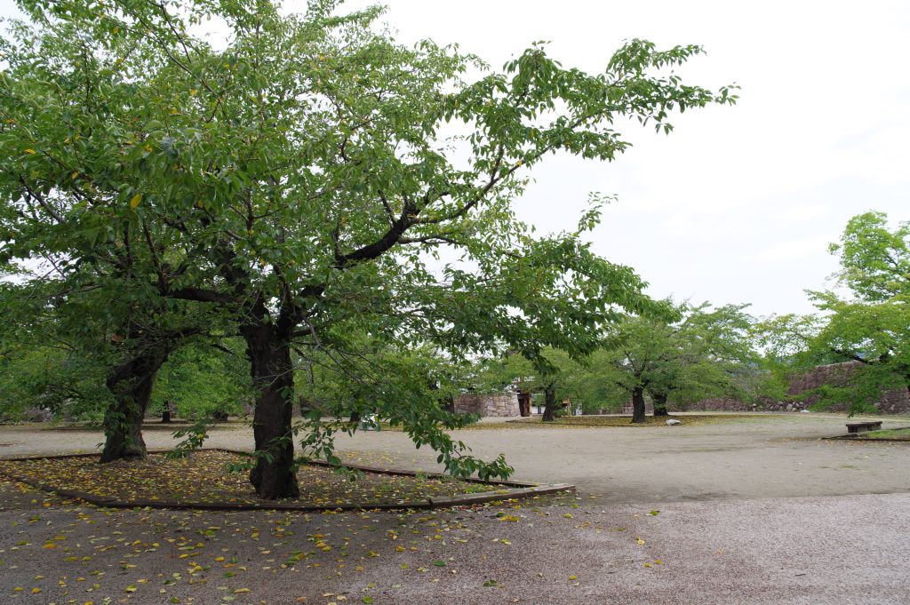 松代城・本丸へ