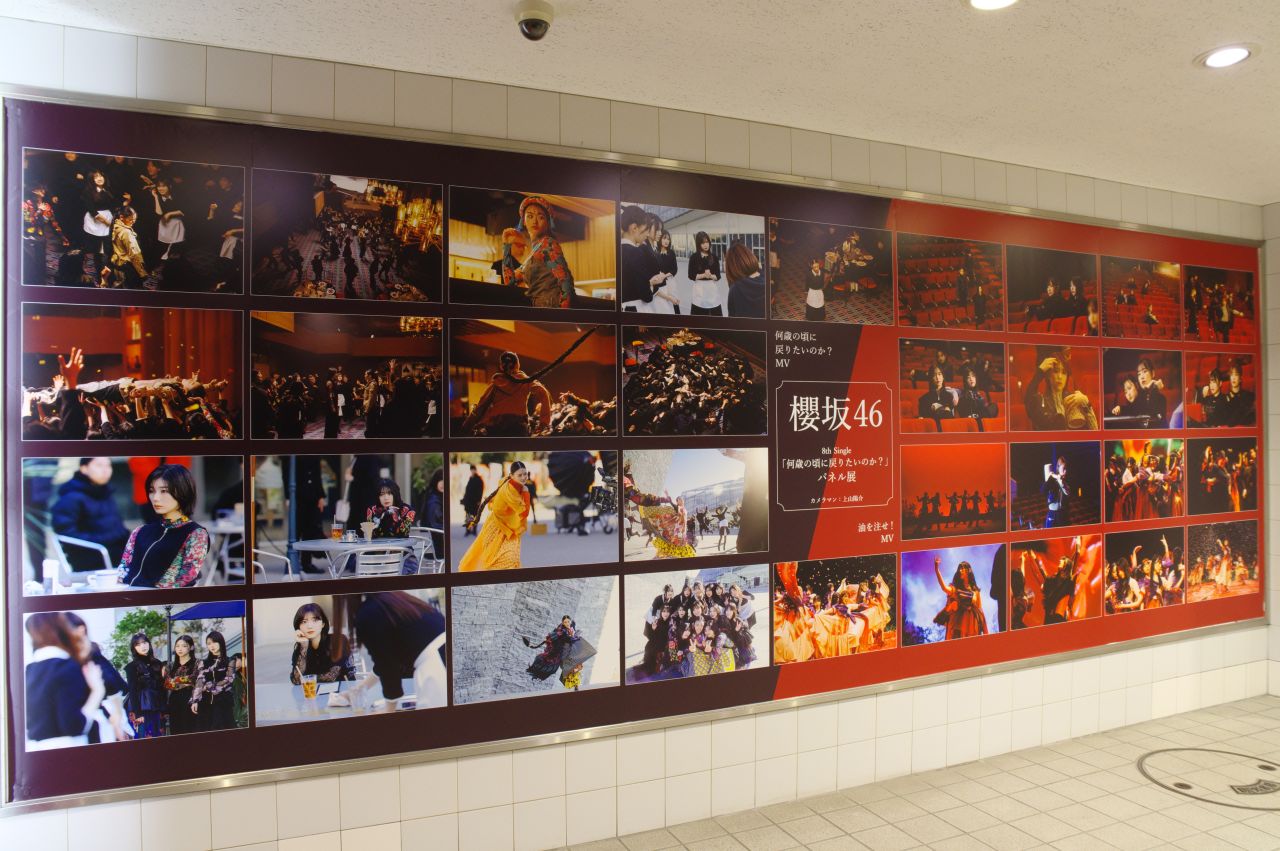 シブツタパネル展・櫻坂46・8thシングル
