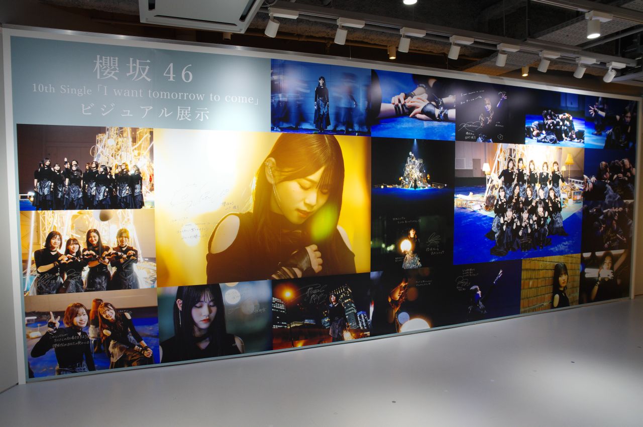 シブツタパネル展・櫻坂46・10thシングル
