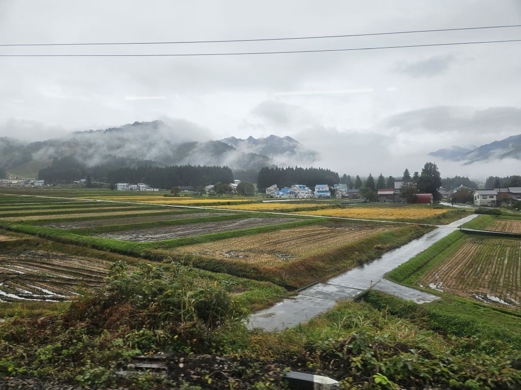 上越線・岩原スキー場前駅付近のカーブ・前方