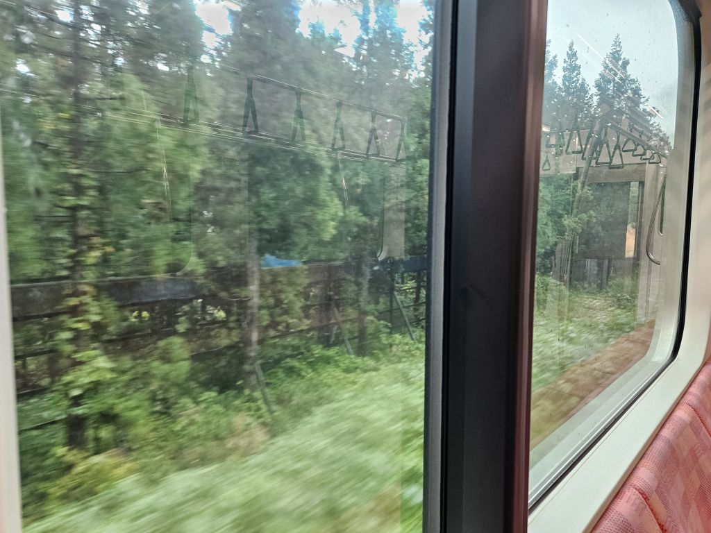 上越線・土樽駅付近の森