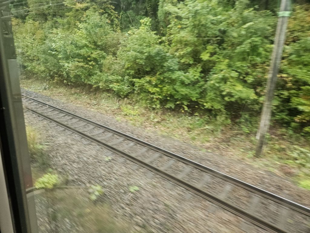 上越線・土樽駅付近・複線の線路