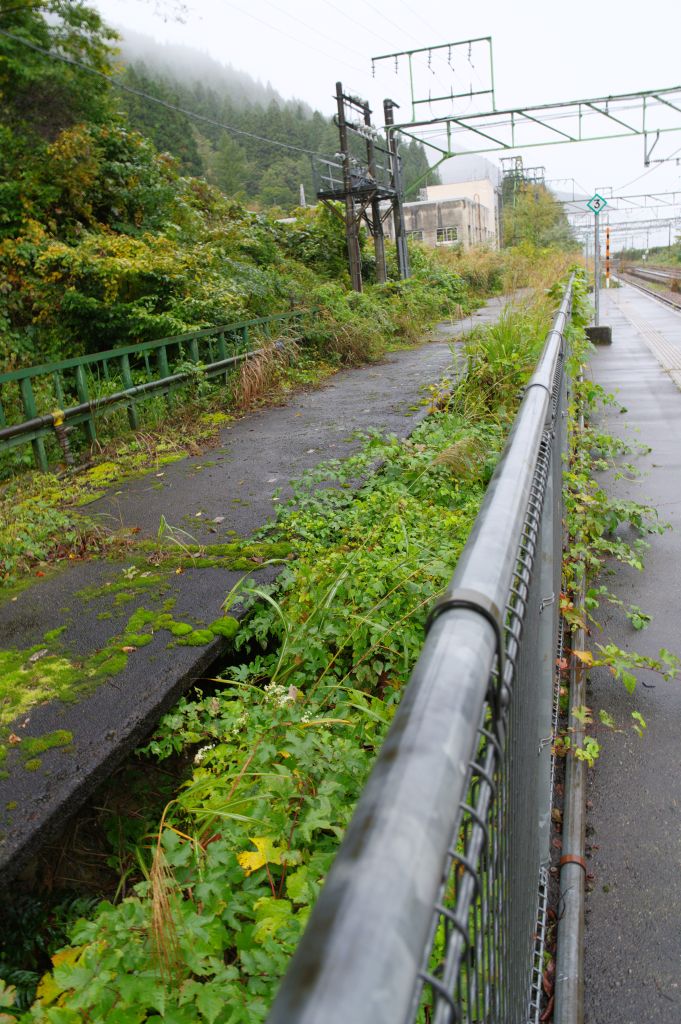 土樽駅・旧ホームを覗く