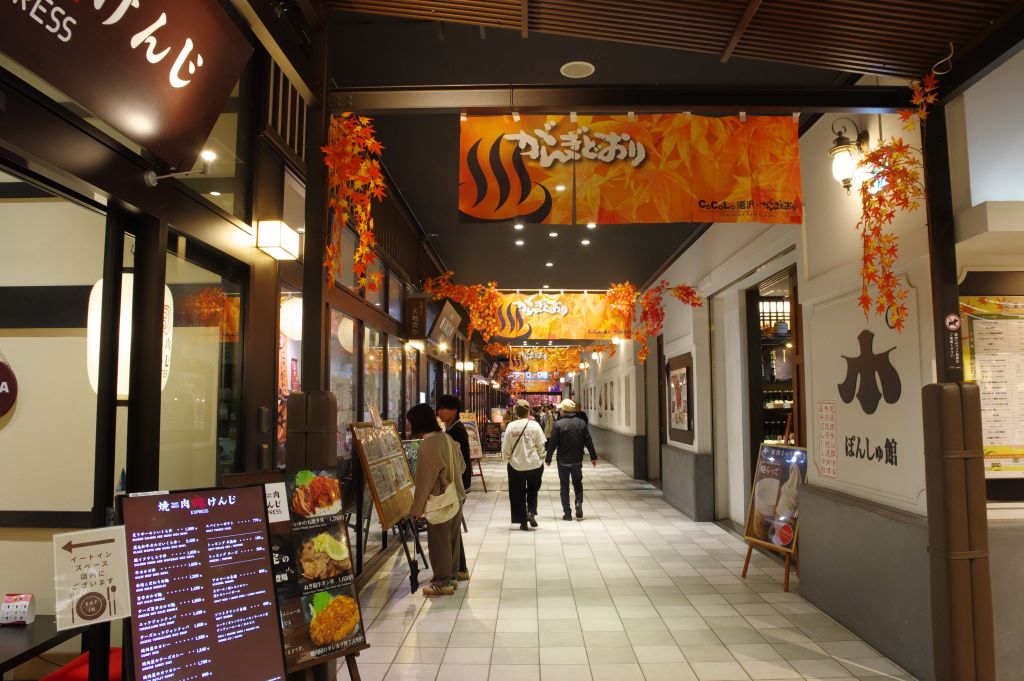 越後湯沢駅・CoCoLo湯沢・がんぎどおり