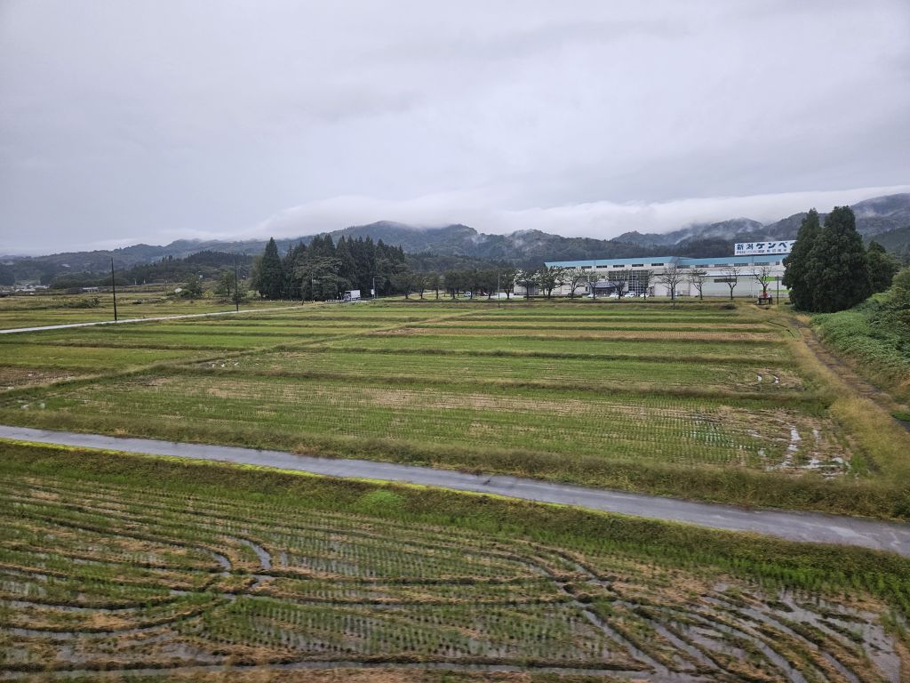 ほくほく線車窓・南魚沼の畑