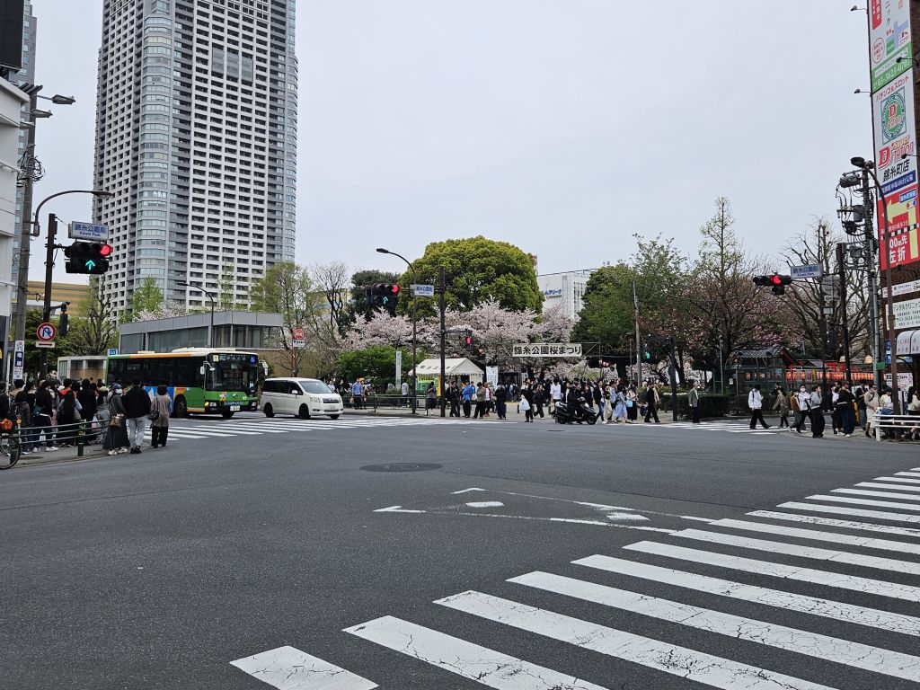 錦糸公園桜まつり