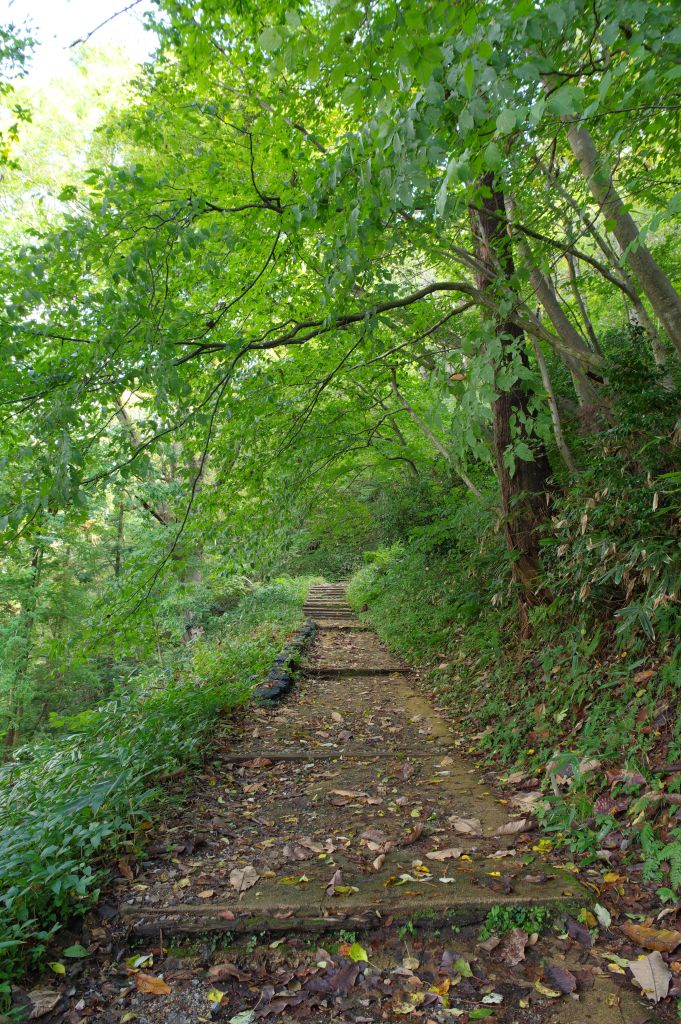 村上城・登り坂