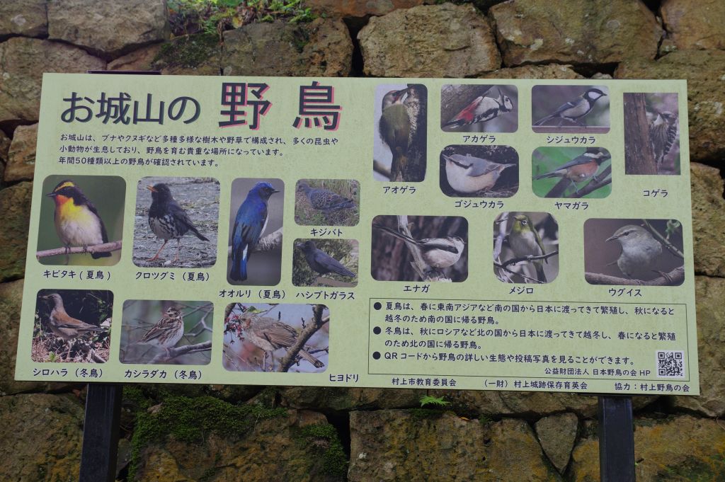村上城・「お城山の野鳥」看板