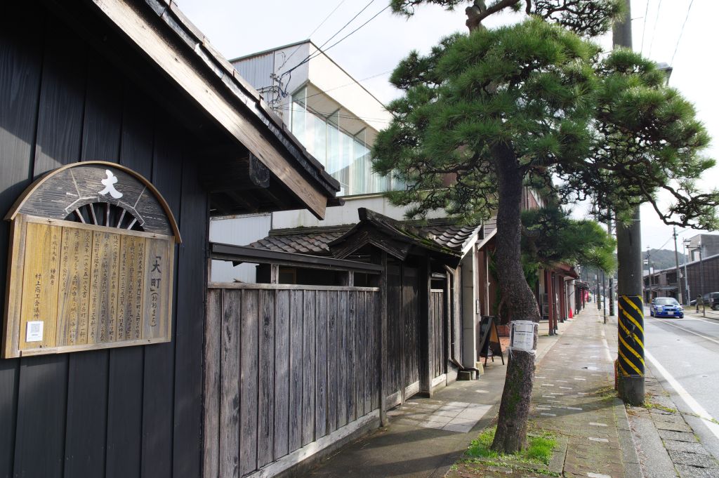 越後村上町屋通り・松の木