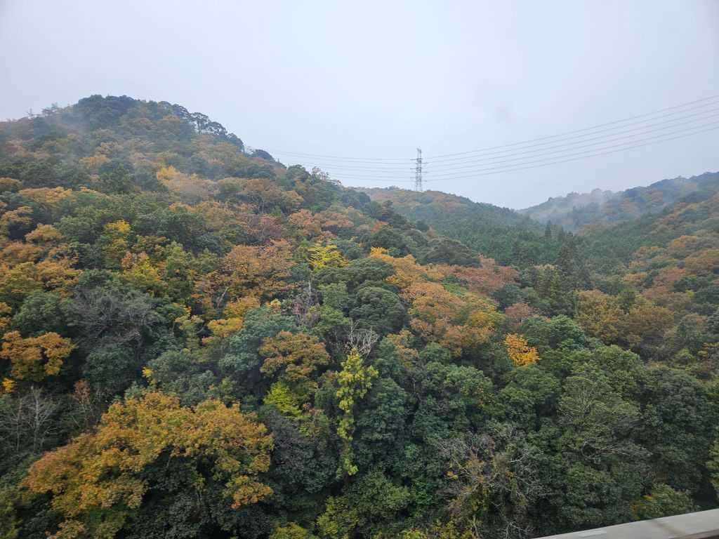 新東名・紅葉の山並