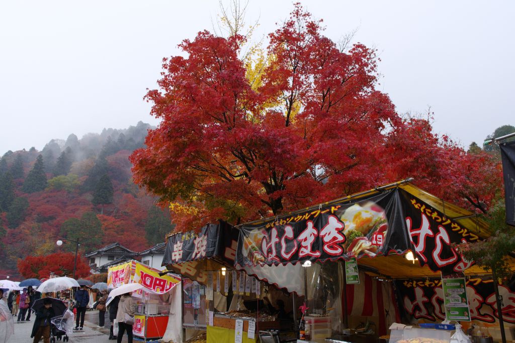 香嵐渓・駐車場からの出店通り
