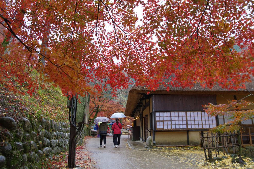 香嵐渓・和風茶屋と紅葉