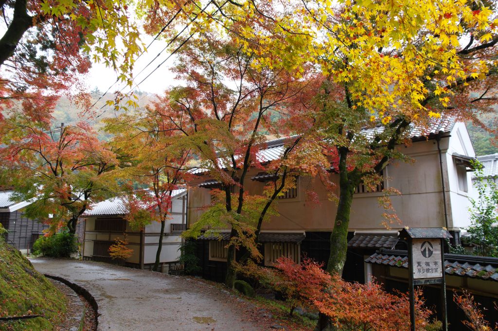 香嵐渓・蔵と紅葉
