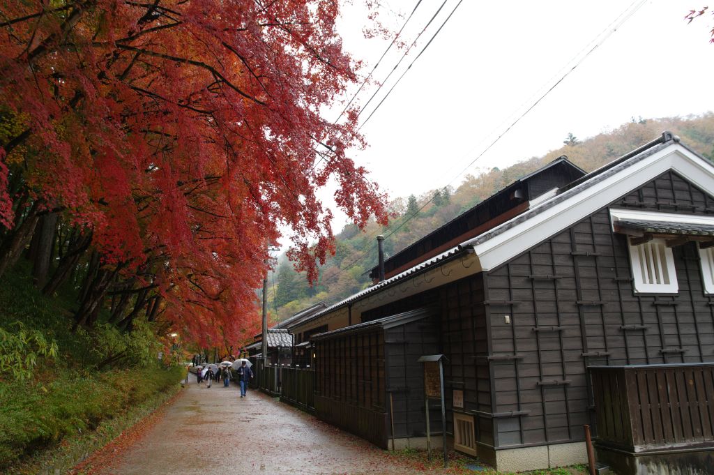 香嵐渓・黒い建物と紅葉