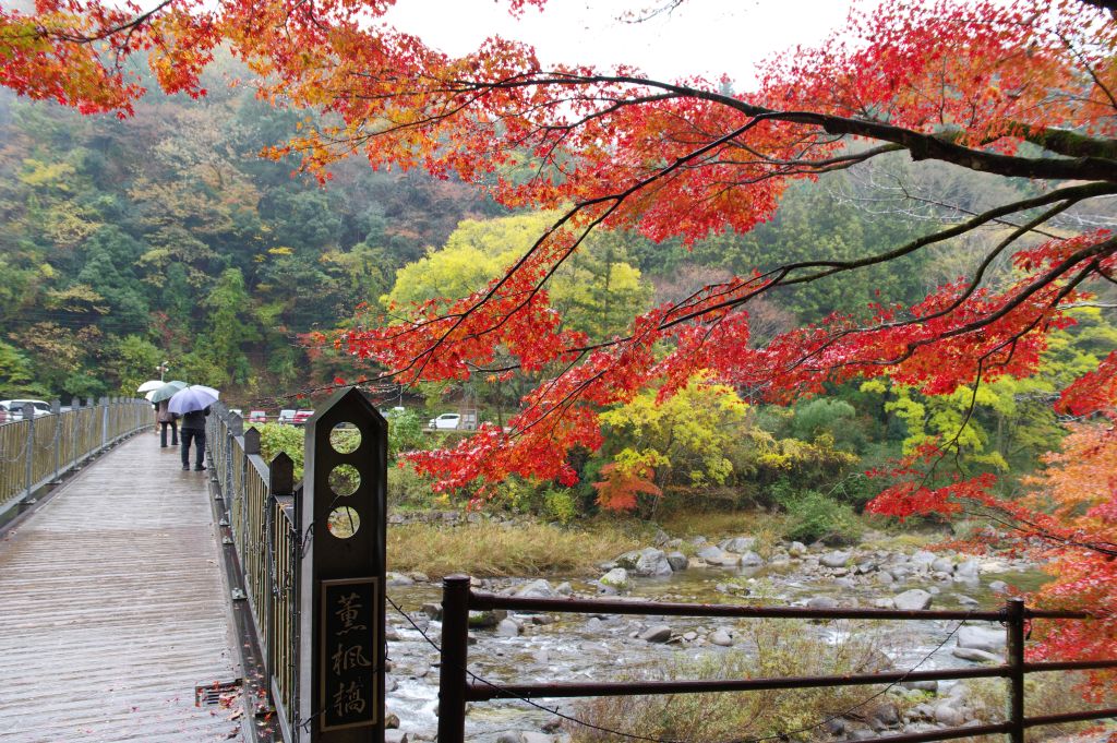 香嵐渓・薫楓橋と紅葉