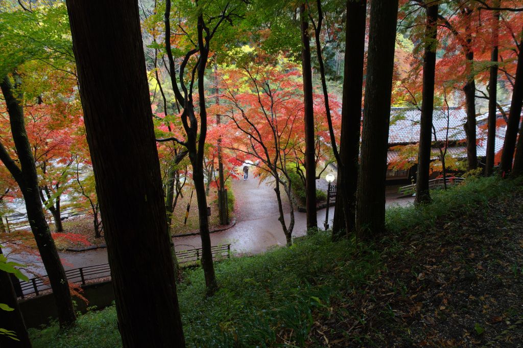香嵐渓・坂下の紅葉