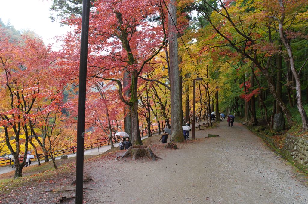 香嵐渓・紅葉の道