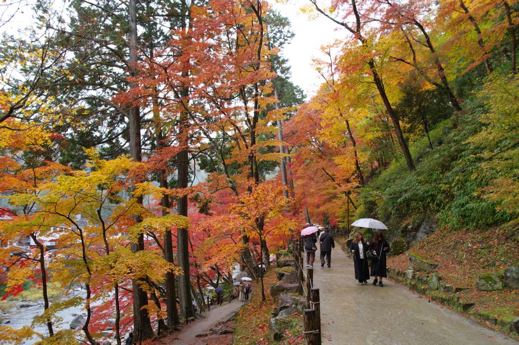 香嵐渓・もみじのトンネル付近