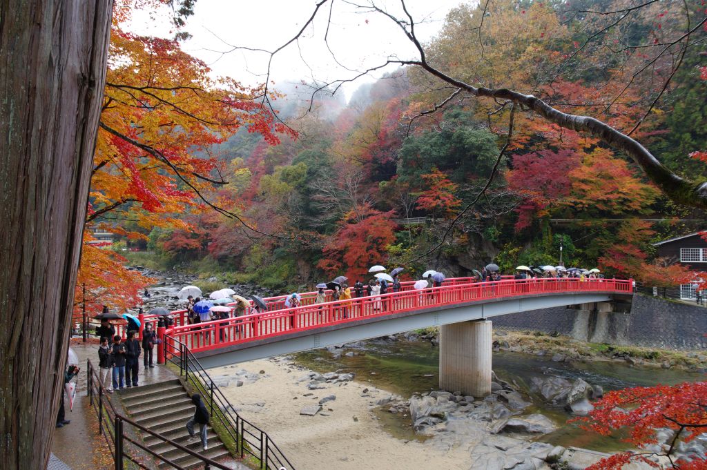 香嵐渓・待月橋を見下ろす