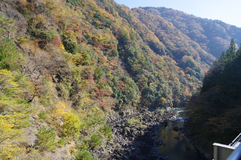 井川線・アプトいちしろ駅付近の山川