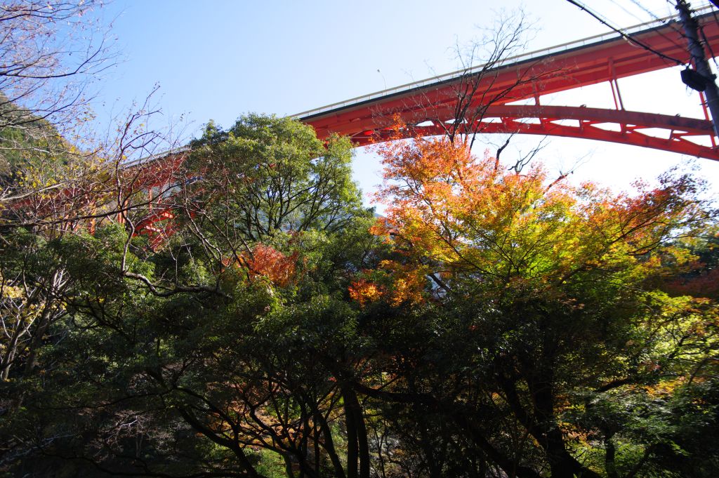 井川線・泉大橋（上流側から）