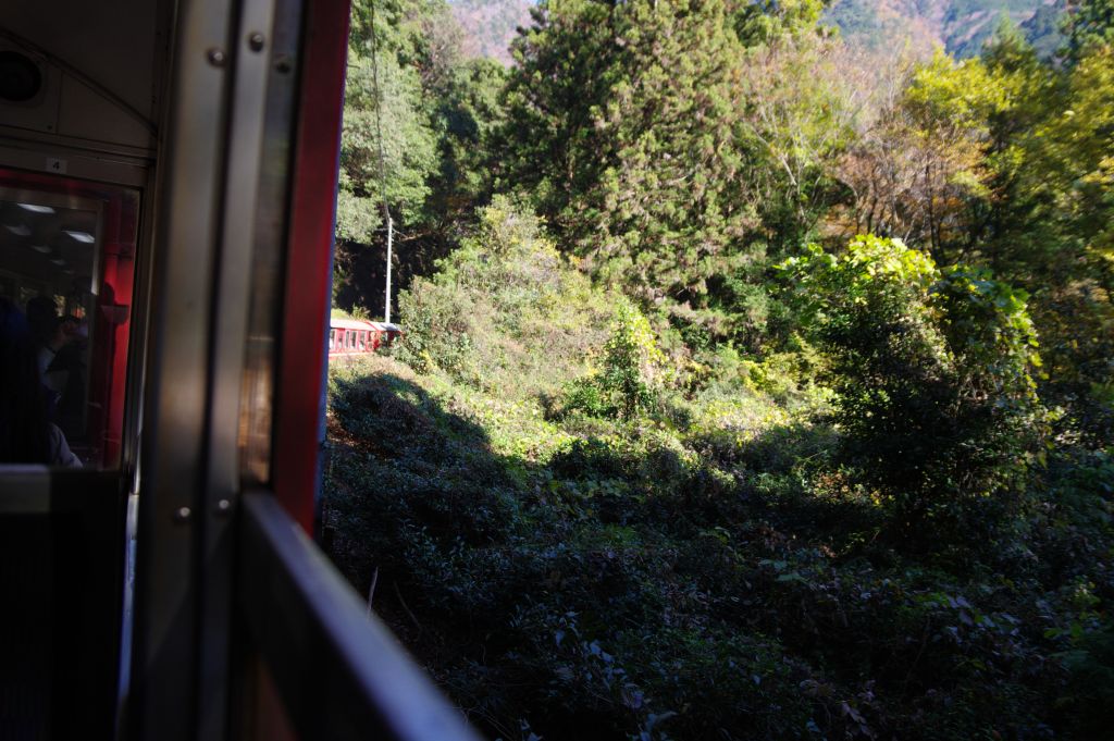 井川線・自然の中をカーブする列車