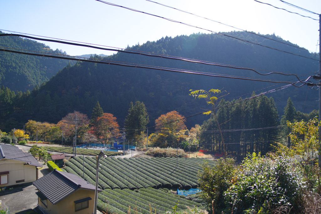 井川線・小山発電所遺構付近