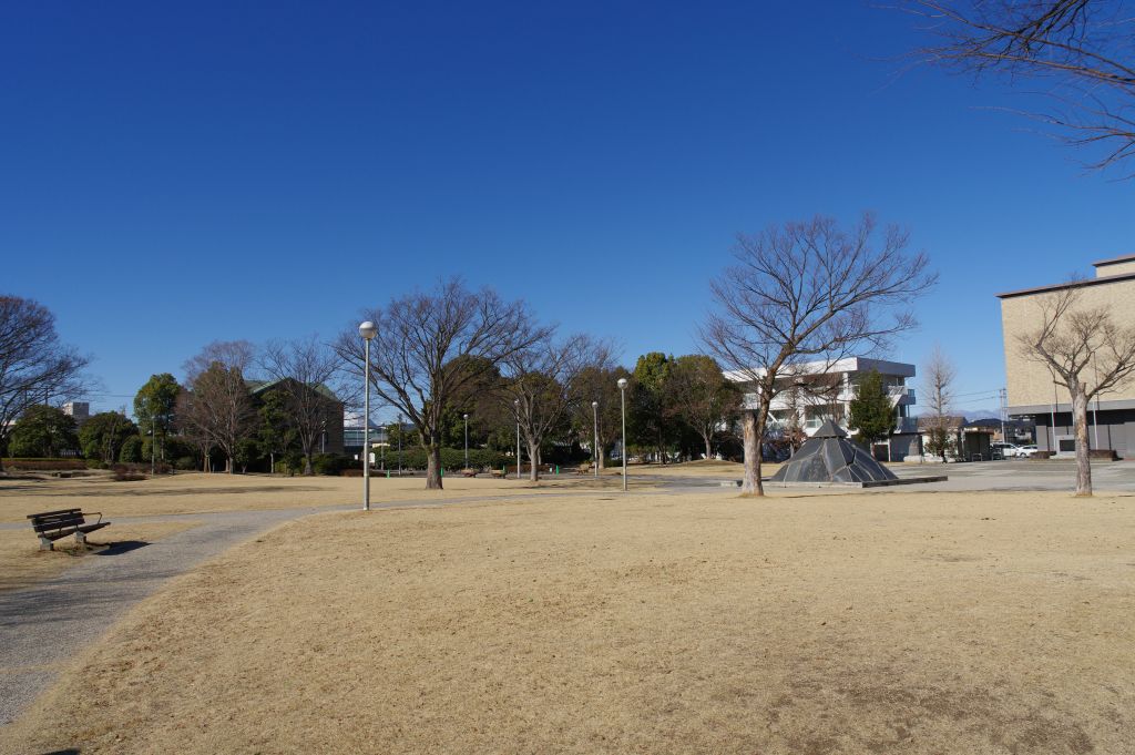 深谷城址公園・園内西俯瞰