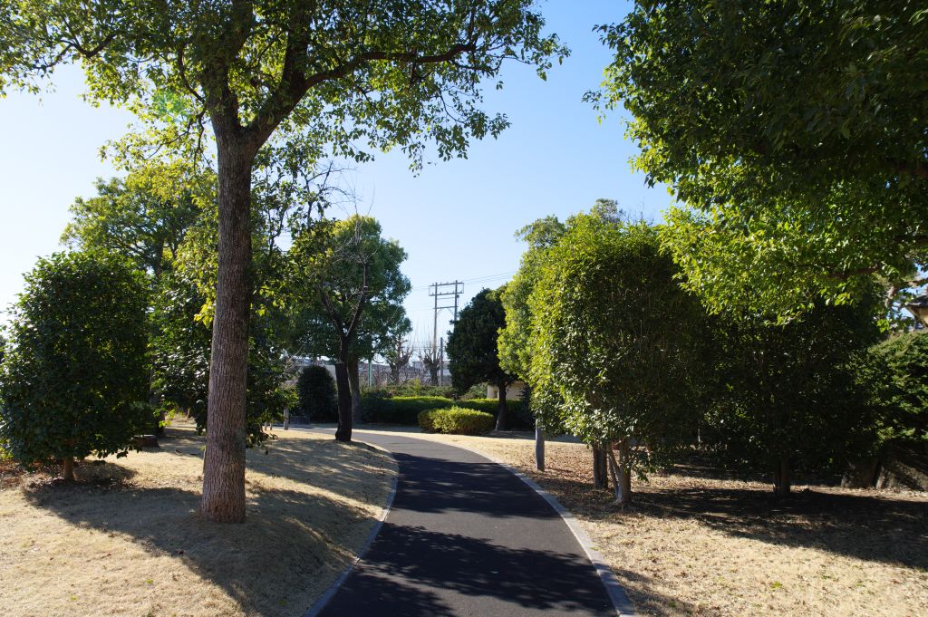 深谷城址公園・西側の散策路