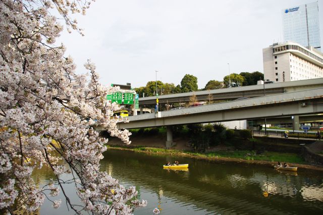 弁慶橋周辺の桜の写真ページへ