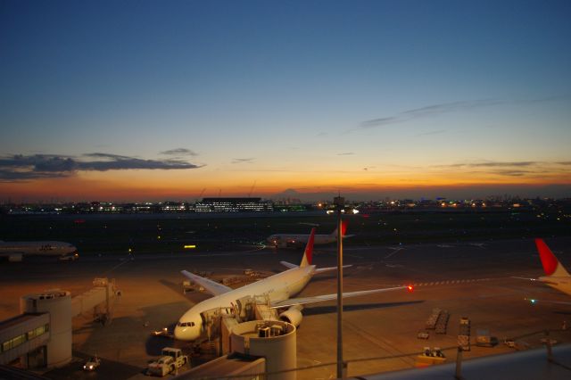 羽田空港第１ターミナルの夕景・夜景(2009年)の写真ページ