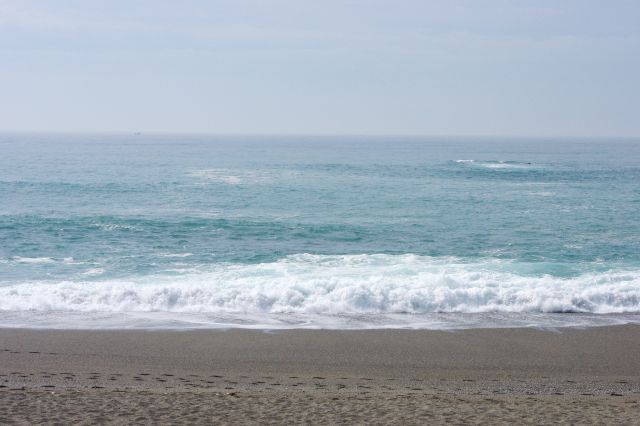 暑い日差しの中、太平洋の迫力ある波が押し寄せる浜。