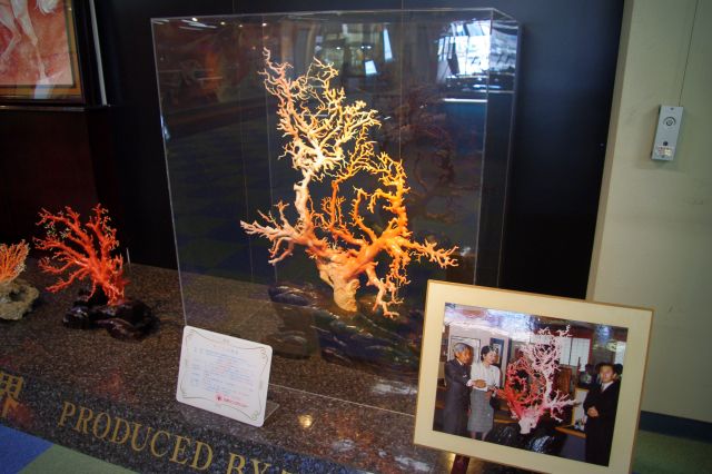 珊瑚センターへ。珊瑚を使った加工品・民芸品が展示してある。50年で1cmしか伸びない種類の、1200年ものの珊瑚もありました！